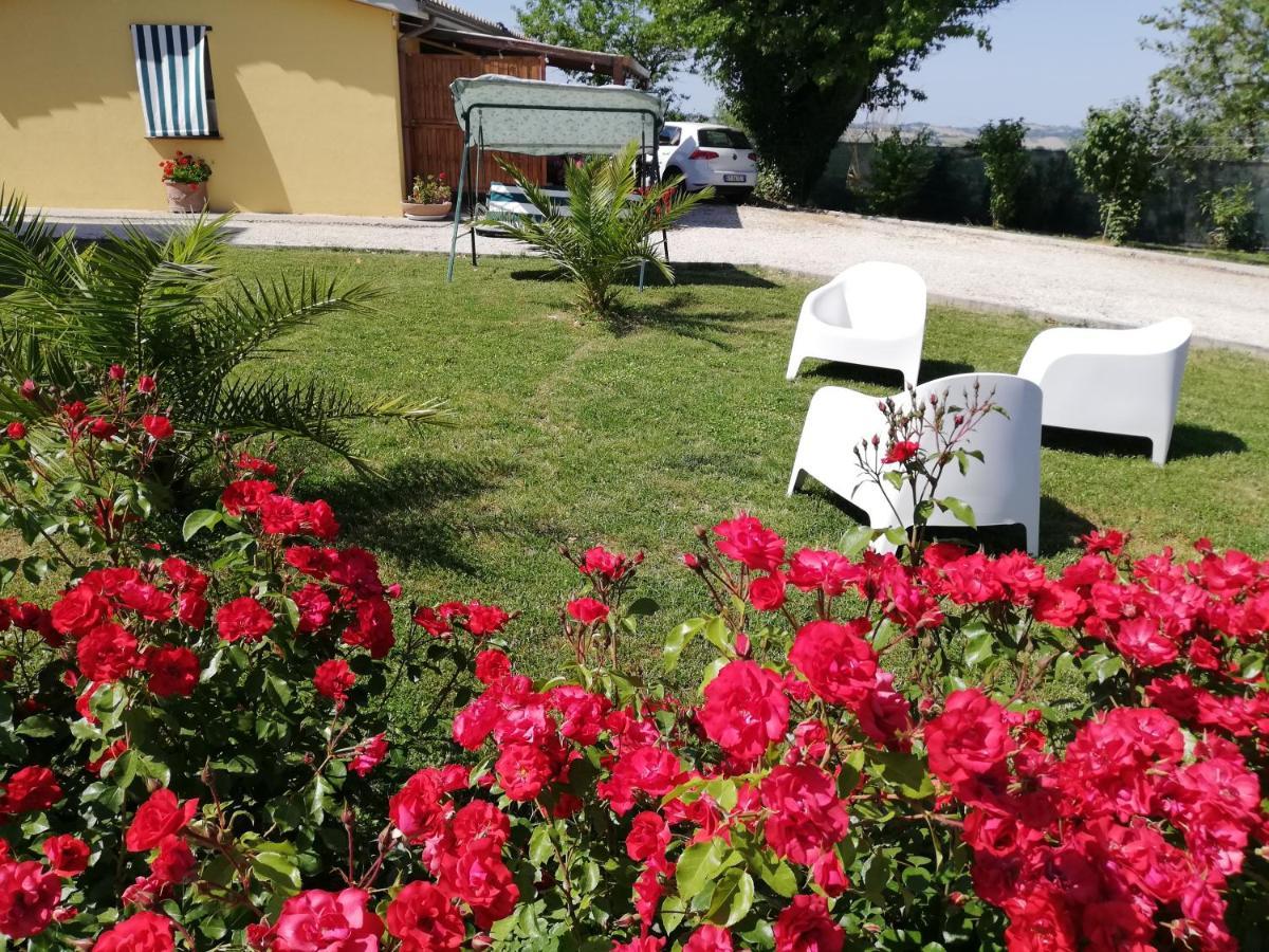 Casa Vacanze Angelica Ostra Vetere Extérieur photo