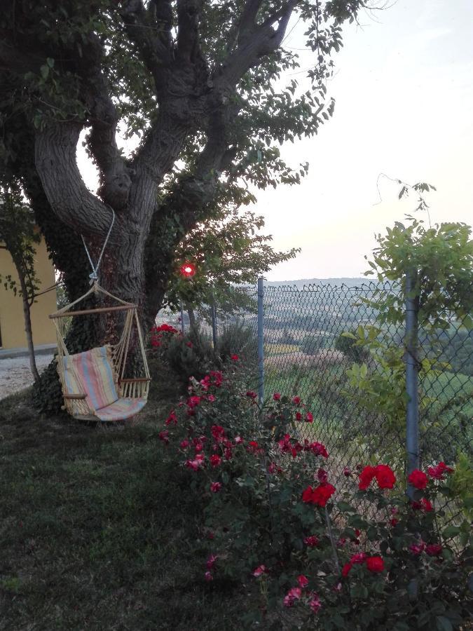 Casa Vacanze Angelica Ostra Vetere Extérieur photo